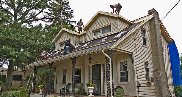 Best Roof Maintenance Services  in Enosburg Falls, VT